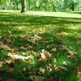 Although there’s some confusion as to when Autumn actually starts – some say it’s the beginning of September, others insist it’s the Equinox – it’s already easy to see the signs […]