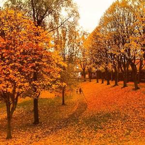 Belfast Waterworks - taken by Erin Maguire. Oct 2016