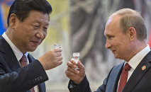 Vladimir Putin pays official visit to People's Republic of China