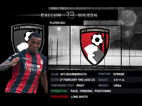 Callum Wilson | AFC Bournemouth | 2014-2015 Goals & Assists | Player Review