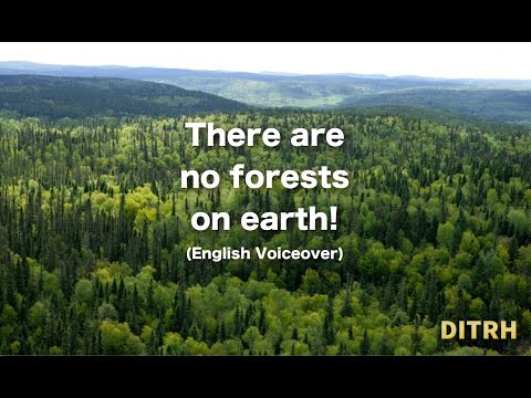 There are no forests on earth!  (ENGLISH VOICEOVER)