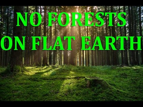 There are no forests on Flat Earth Wake Up