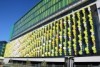 Wide shot of Fizz artwork at Perth Children's Hospital