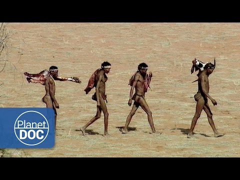 Kalahari Bushmen | African Tribes