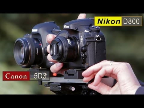 Canon 5D Mark III vs Nikon D800 Comparison