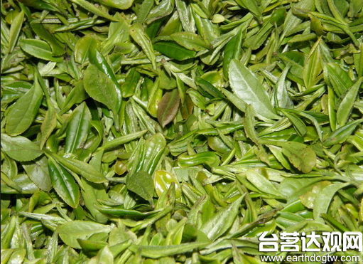 粗制茶课税 茶农跳脚