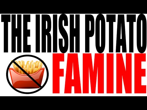 The Irish Potato Famine Explained: World History Review