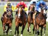 Spring Carnival: Weekend Best Bets