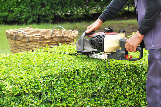 Bretts Lawn & Garden Maintenan - Lawn and Garden - Lawn Care in Bayside VIC