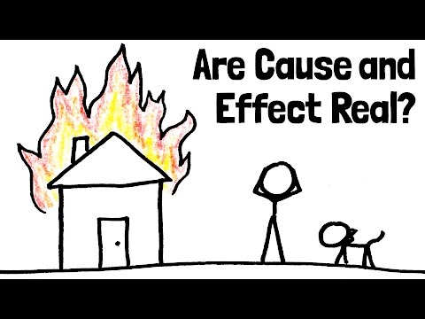 Do Cause and Effect Really Exist? (Big Picture Ep. 2/5)