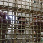 PFLP: Escalating repression by Zionist prison administration requires action and confrontation