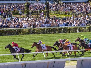 Derby Day Races