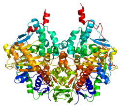 Protein MAOB PDB 1gos.png