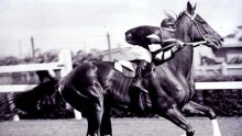 Phar Lap