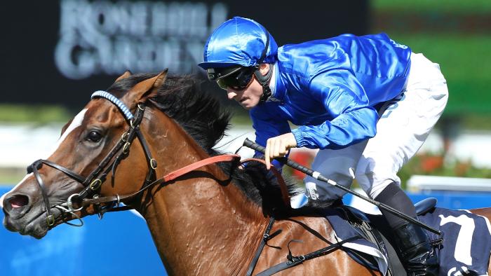Hartnell could bring home some huge cash for punters in the Melbourne Cup.