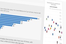 What makes a Cup winner? (ABC News)