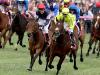 Melbourne Cup: Finishing order