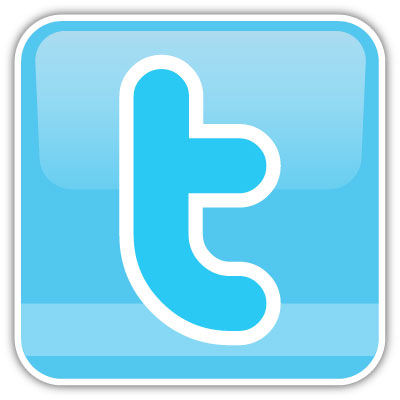 twitter icon logo