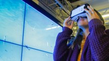 Virtual reality has allowed researches to monitor the reef without getting wet.