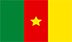 Drapeau du Cameroun