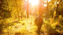 Laurie Rees ventures into the bush