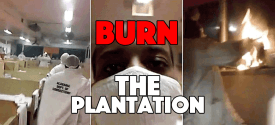 burn_plantation