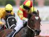 Rupee firing ahead of Darley Classic