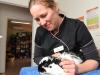 Pet owners hopping into rabbit clinic