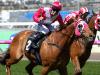 Spring Carnival: Weekend Best Bets