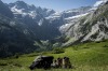 Title: French Pyrenees. Sometimes you just have to sit back and take it all in and a great place for me to do that was ...