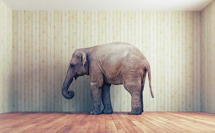 elephant-in-the-room