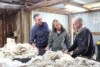 A meeting of minds at the wool table