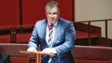 One Nation Senator Rod Culleton speaks in the Senate.