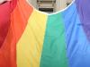 Pollies say no to same-sex plebiscite