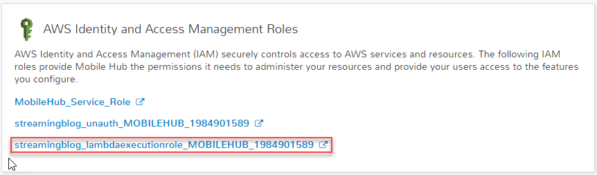 lambda-execution-role-resource