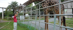 Kumamoto Zoo