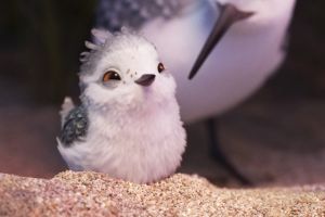 Pixar Animation Studios' new short, Piper, a hungry sandpiper hatchling.