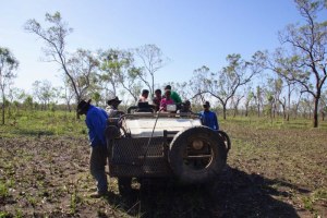 Seven Emu Station is run by the Shadforth family, who have owned it for generations (ABC News: Kristy O'Brien)