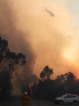 Firefighters at Cessnock. Picture: MJF Australia