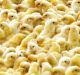 Hundreds of chicks wait for food at poultry farm in Malacca, outskirt of Kuala Lumpur, Malaysia, Tuesday, Jan.  27, ...