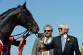 Lucky for some: Trainer Bart Cummings and foreman Reg Fleming after Viewed won the 2008 Melbourne Cup.