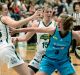 Coming through: Canberra's Michaela Ruef is confronted by the Rangers' Ally Malott.