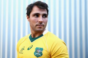 That's gold: Wallabies halfback Nick Phipps.