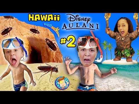 HAWAII COCKROACH SCARE! MOST BEAUTIFUL PLACES 2 SEA (FUNnel Vision Disney Aulani Honolulu Trip Pt 2)