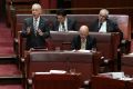 Senator Bob Day addressing the Senate. His legal matter is complex and may have broader implications for other politicians.