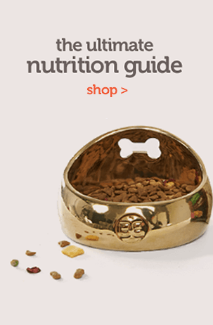 The Nutrition Guide