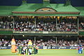 Australia v India Drinks break (6931254009).jpg