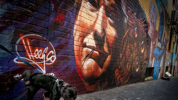 A dog urinates on a graffiti of Donald Trump at a laneway in Melbourne.