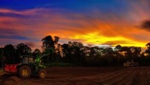 The sun sets over an empty field on Christmas Island's largest farm