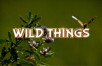 Wild Things Logo